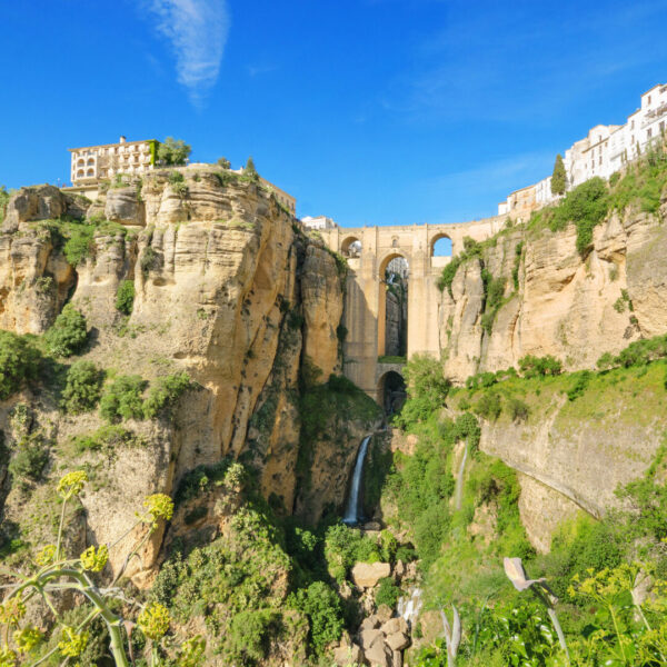 Ronda_fota3 Ronda_fota3